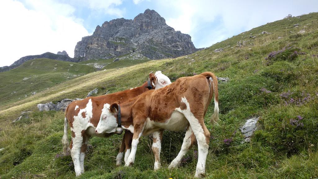 Haus Traudl Lägenhet Mayrhofen Exteriör bild